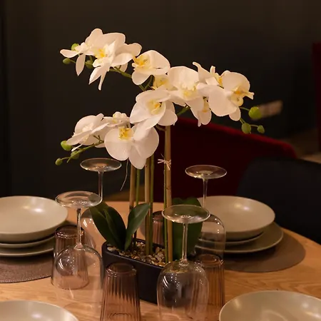 Apartment Moderne Avec Terrasse Parking Gratuit *